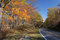 Free Shenandoah National Park At The Fall Stock Photos - 6164713