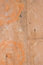 Free Textured Wall Royalty Free Stock Photo - 6165565