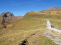 Free Swiss Alps Stock Images - 6175344