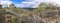 Free Australian Bush Stock Photography - 6174182