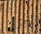 Free Rusty Metal Stock Image - 6175941