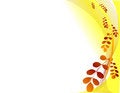 Free Silhouettes Of Leaves Stock Photo - 6181390