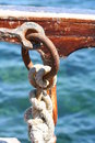 Free Marine Nodes Royalty Free Stock Photos - 6183088