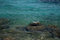 Free Turquoise Sea Royalty Free Stock Images - 6188039