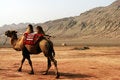Free Camel, Stock Photo - 6196110