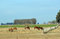 Free Rural Scene Royalty Free Stock Photo - 6190045