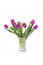 Free Violet Flowers Stock Images - 6198134
