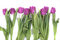 Free Violet Flowers Royalty Free Stock Image - 6198146