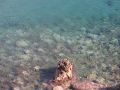Free Crystal Sea Surface Stock Image - 620731