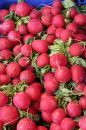 Free Radisches From The Market Royalty Free Stock Photo - 621075