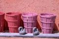 Free Pastel Baskets Stock Photo - 621230