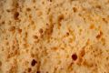 Free Natural Sponge Stock Images - 623614