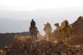 Free Camels And Tourist Royalty Free Stock Photography - 626027