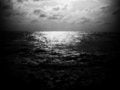 Free Ethernal Sunshine Royalty Free Stock Photography - 628427