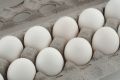 Free Food Eggs Royalty Free Stock Photography - 629077