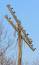 Free Old Railroad Telegraph Pole Royalty Free Stock Photos - 625808