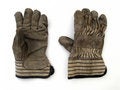 Free Gloves Royalty Free Stock Photo - 6202735