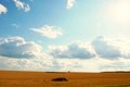 Free Nature Royalty Free Stock Image - 6205346
