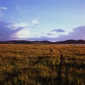 Free Grassland Stock Photos - 6206423