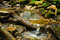 Free Creek Royalty Free Stock Photography - 6200107