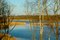Free Lake In A Sun Day Royalty Free Stock Photos - 6204268