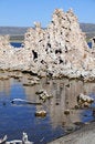 Free Mono Lake Royalty Free Stock Photo - 6212865