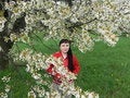 Free The Person. Spring. The Nature. Royalty Free Stock Images - 6216139