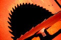 Free Circular Saw Royalty Free Stock Photography - 6217347