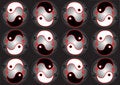 Free Yin Yang Harmony Stock Image - 6223961
