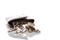Free Keys Royalty Free Stock Images - 6224739