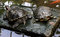 Free Terrapins Stock Image - 6225951