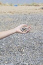 Free Pebble Stock Photos - 6237193