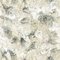 Free Marble Royalty Free Stock Photo - 6233435