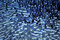 Free Ice Background Stock Photography - 6263912
