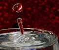 Free Drop Of Water Royalty Free Stock Image - 6281206