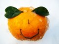 Free Laughing Orange Stock Photo - 6284660