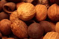 Free Nuts And Dry Fruit In Warm Light Royalty Free Stock Images - 6286839