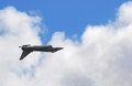Free Inverted Jet Stock Photos - 6287683