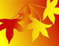 Free Silhouettes Of Leaves Stock Photo - 6295040