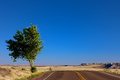 Free An Open Desert Highway Royalty Free Stock Photo - 6295065