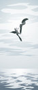 Free Gulls Birds Stock Photo - 6298640