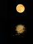 Free The Moon Stock Image - 6290311