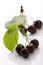 Free Sweet Cherry - Sweet Fruit Royalty Free Stock Images - 6291849