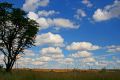 Free Distant Sun Royalty Free Stock Images - 631159