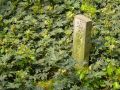 Free Stone Landmark And The Green Royalty Free Stock Photography - 631587