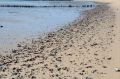 Free Beach Stock Image - 634171