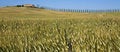Free TUSCANY Countryside With Distant Farm Royalty Free Stock Photos - 6309498