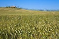 Free TUSCANY Countryside With Distant Farm Royalty Free Stock Photo - 6309555