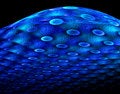Free Sea Creature Stock Image - 6314201