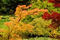 Free Autumn Colors Stock Photography - 6315682